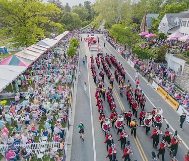 Shenandoah Apple Blossom Festival®