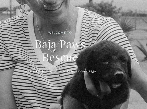 Baja Paws Puppy Yoga x Adoption Event