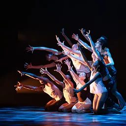 Senior Choreographed Dance Concert