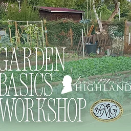 Garden Basics: Tomatoes, From Selection to Harvest