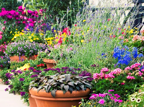 Spring Container Gardening