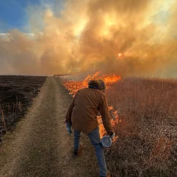 Learning to Burn: Prescribed Fire & Ecology