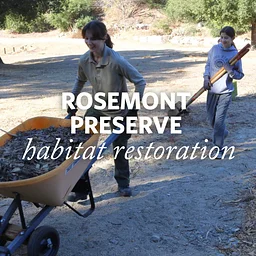 Rosemont Preserve Habitat Restoration