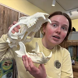 Name That Skull!