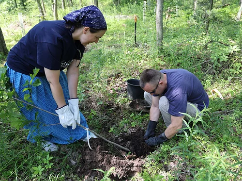 Learn & Pull Volunteer Series: Human Pathways of Invasive Species