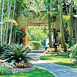The Kampong and Fairchild Garden