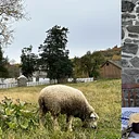 Monthly Living History: Farmstead Fridays – Preparing for Winter