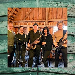 Live Music with The Barn Cats Quintet
