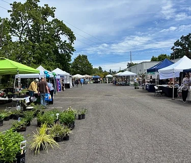 SPRING MARKET – Gladstone