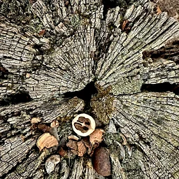Nature Photography 101