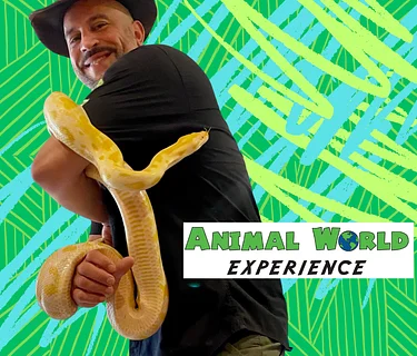 Animal World Experience