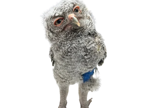 More talks coming soon!