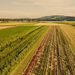 Regenerative Agriculture: What is it & Why is it a Topic of Interest