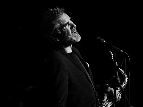 Curtis Stigers Under the Stars