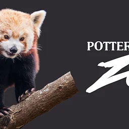 Red Panda Day Celebration