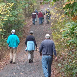 Dog-Friendly Autumn Crum Woods Hike