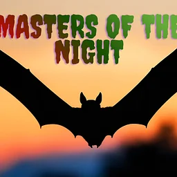 Masters of the Night
