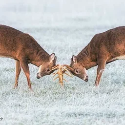 Curt Knapp Photography Exhibit