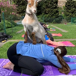 Goat Yoga in the Garden – SOLD OUT