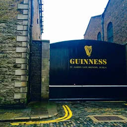 Guinness Beer Dinner