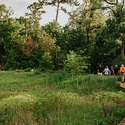 Wellness Walks at Memorial Park