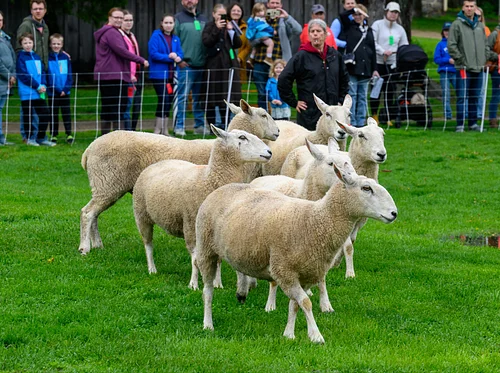 Springfest: A Celebration of Gardens and Baby Animals