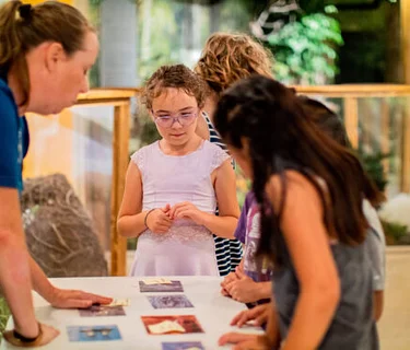 Homeschool Days – Nature in Your Backyard