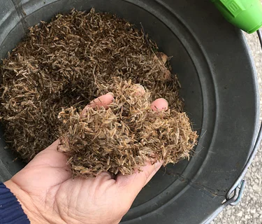 Propagation Workshop: Expand Your Garden with Seeds