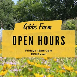 Friday Public Hours at Gibbs Farm