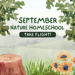 Nature Homeschool September – Take Flight!
