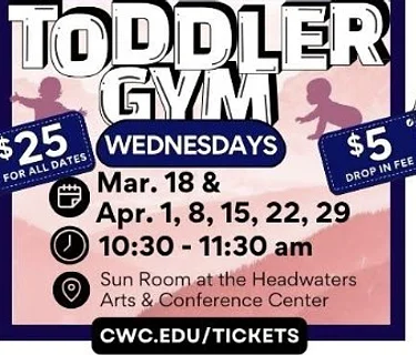 Toddler Gym