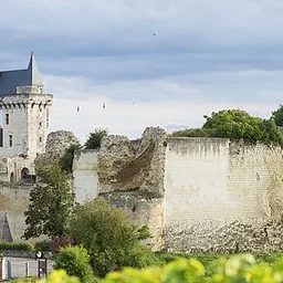 French Wine Tasting