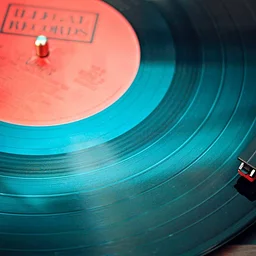 Monthly Vinyl Nights