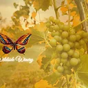 Wildside Winery