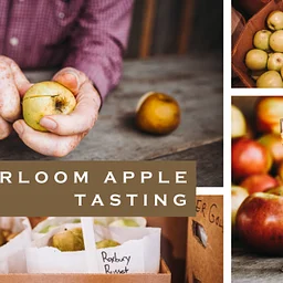 Heirloom Apple Tasting Class