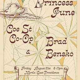The Coe Street Co-Op / Brad Bensko Band / Princess June