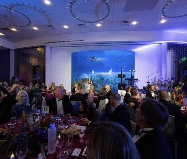 Oceanic Evening 2026