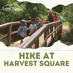 Hike at Harvest Square Nature Preserve