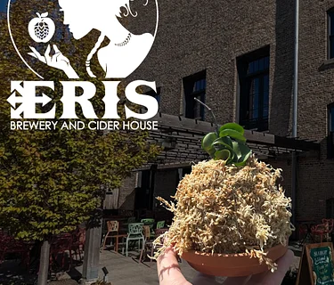 Uncommon Plant Guy: Connection Through Kokedama