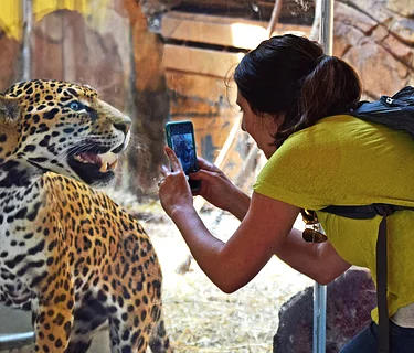 Free Admission for Norristown Borough Residents