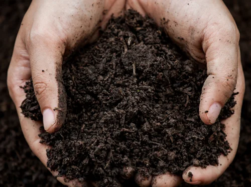 Gardening with Kids: Underground Explorers