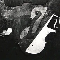 Evan Mirapaul | In Concert: Photography and the Violin