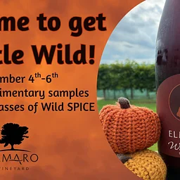 Wild Spice Release!