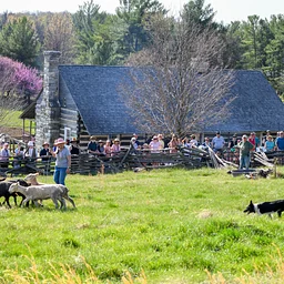 2027 Fiber Festival