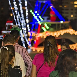 Parade Viewing Area