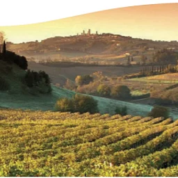 Special Tasting - Mormoraia Winery