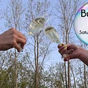 Bubbles Bash