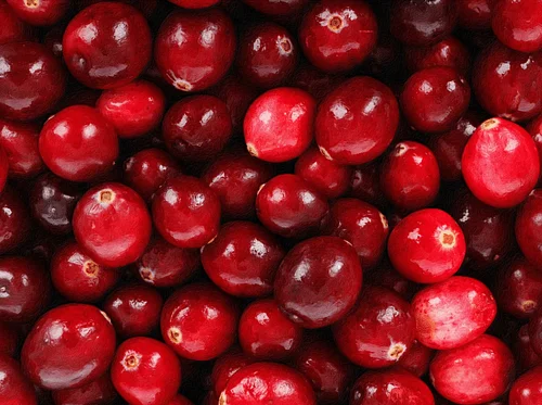 Food Workshop: Celebrate the Cranberry