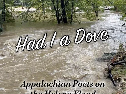 Willard's Wonderings & Watauga Wanderings: High Country Poet Laureate Hilda Downer discusses ‘Had I A Dove’