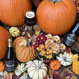 Halloween in the Cellar